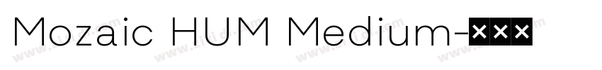 Mozaic HUM Medium字体转换